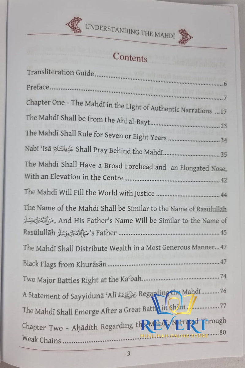 Understanding the Mahdi